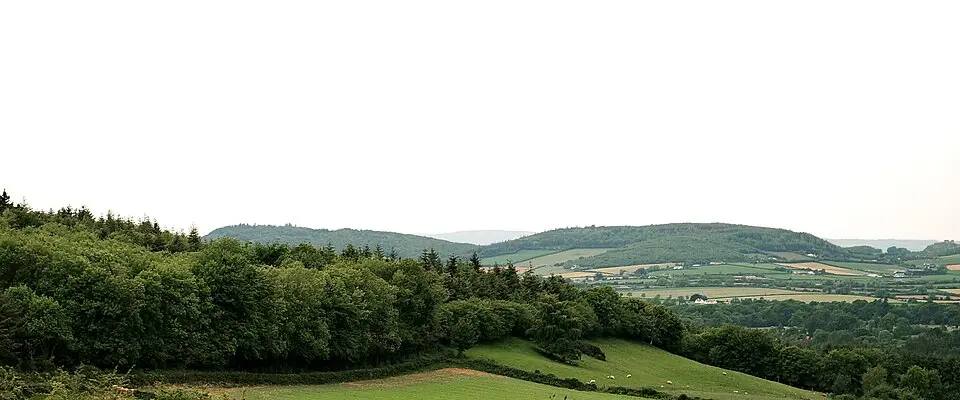 Laois