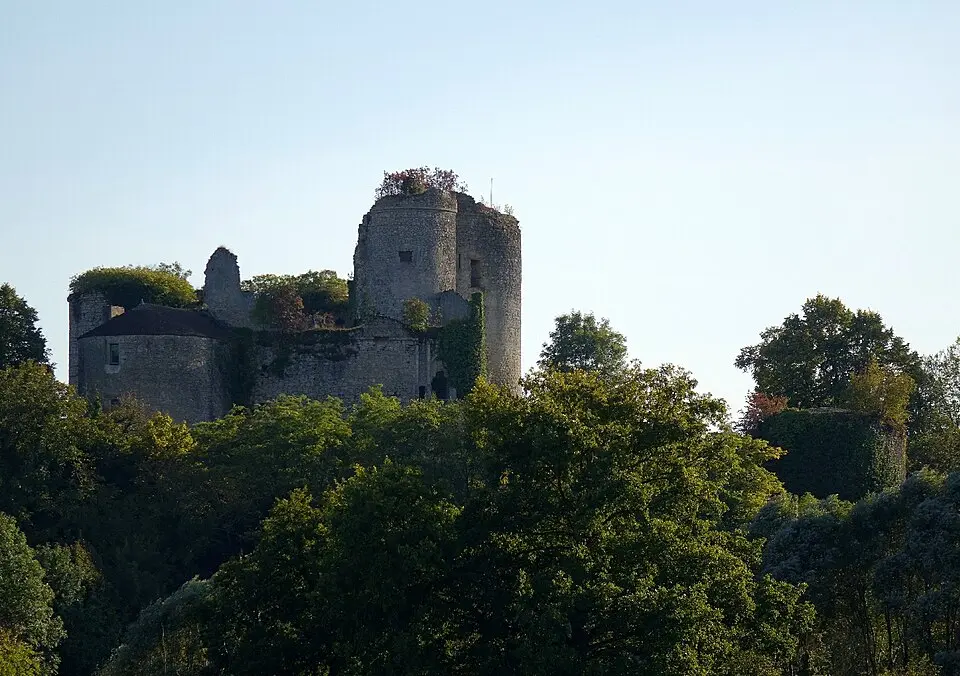 château de Montaigu-le-Blin