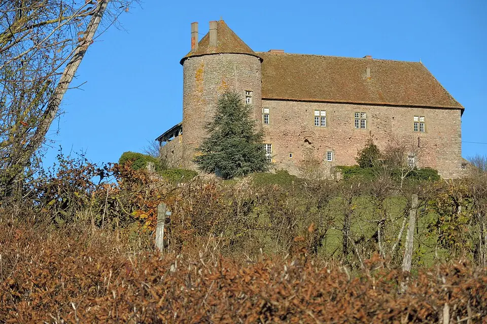 Château de Montperroux