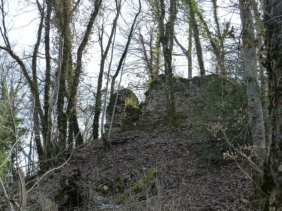 Image: Zbh0170 · CC BY-SA 3.0 Château de Rougemont