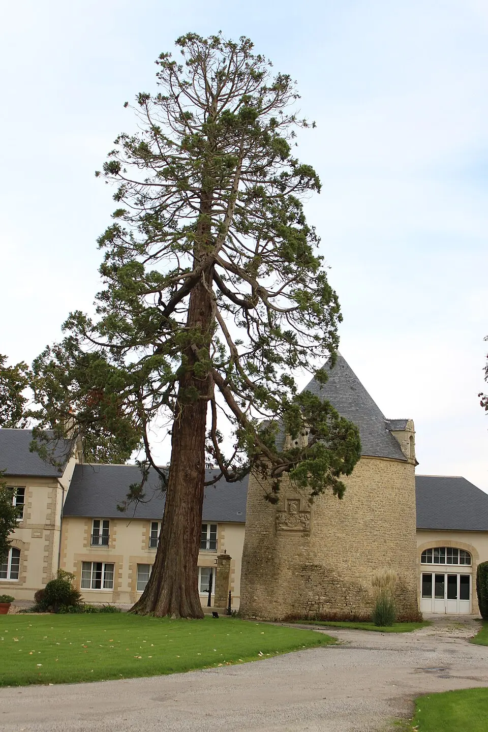 château de Sully