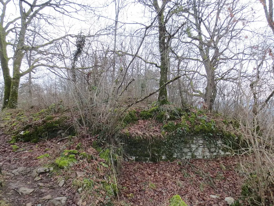 Image: Arnaud 25 · CC BY-SA 3.0 château de Vergy
