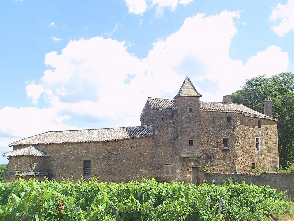 Domaine du château de Layé et du Vieux-Château de Vinzelles