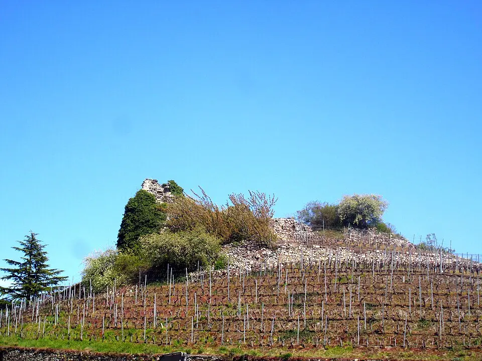 Château des comtes de Savoie (Conthey)