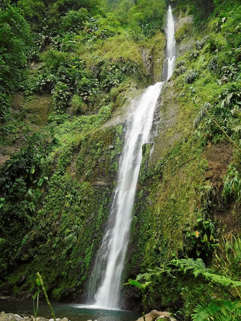 chutes Moreau