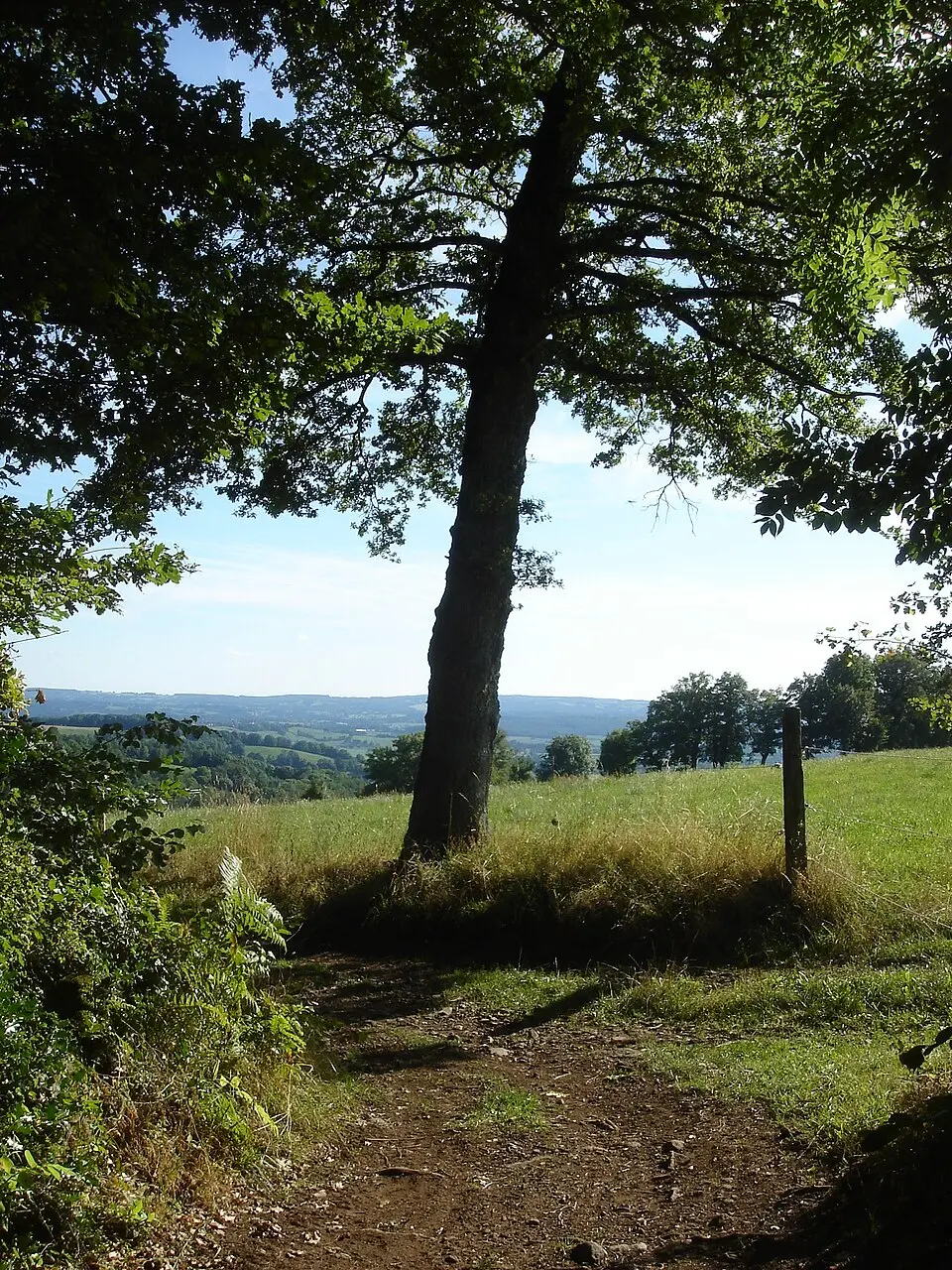 Slika: NdFrayssinet · CC BY 3.0 château de Labeau