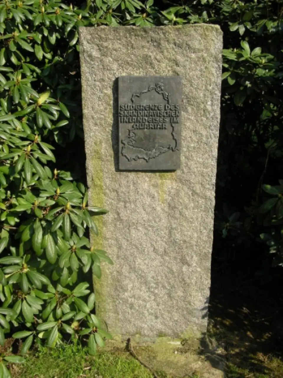 Torell-Stein