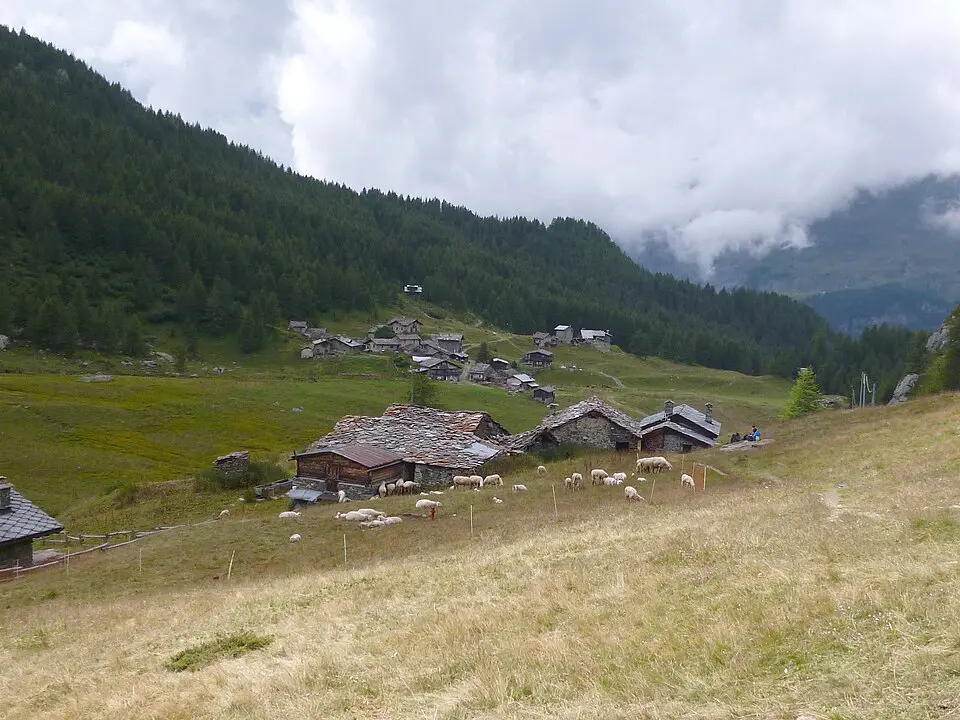 Cheneil