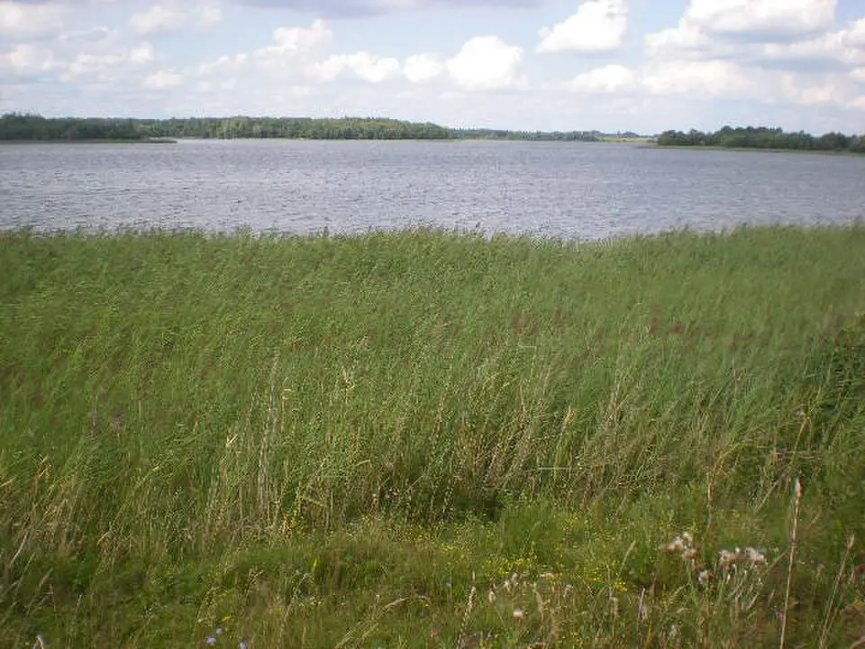 Čarejskaje
