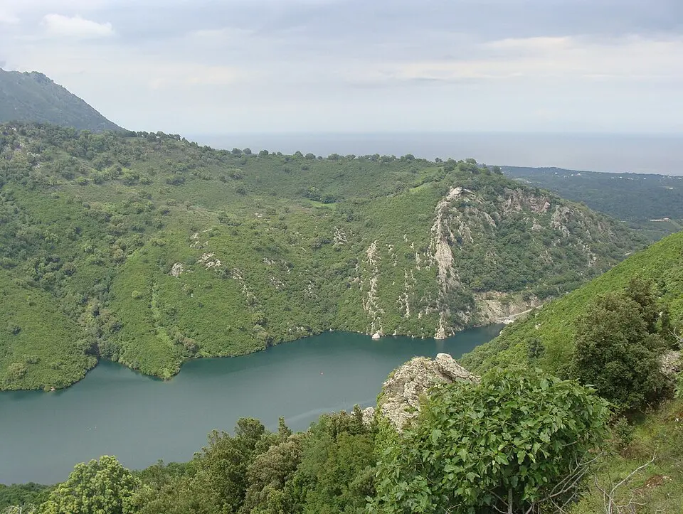 Alesani