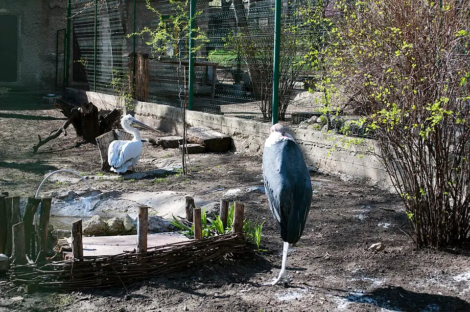 Grădina Zoologică din Chișinău