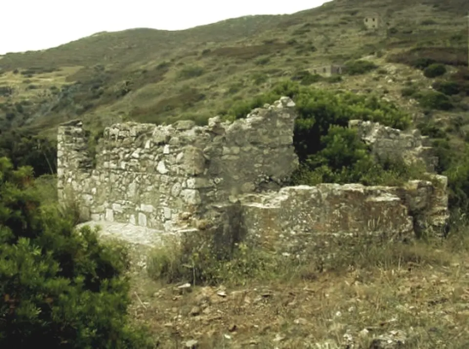 Grassera