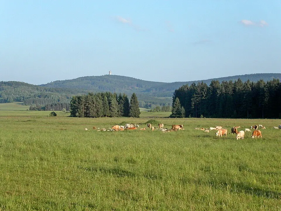 Chráněná krajinná oblast Český les