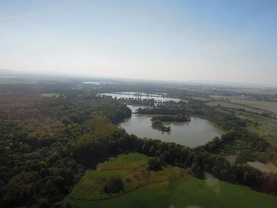 Immagine: Radim Holiš · CC BY-SA 3.0 Chráněná krajinná oblast Poodří