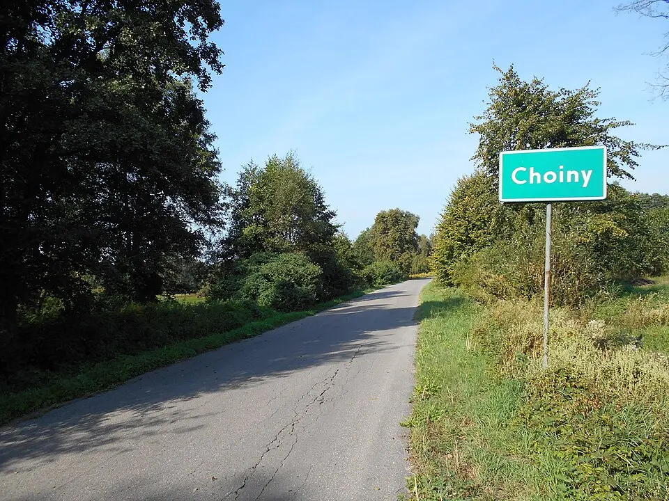 Choiny