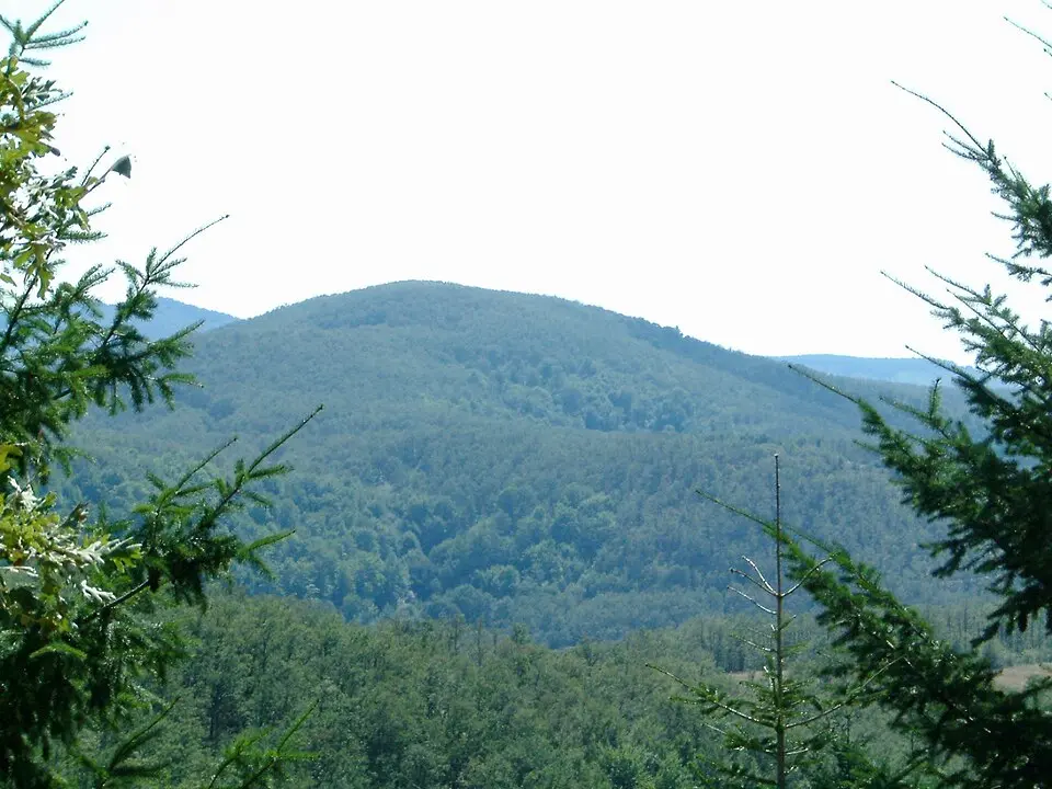 Cholomondas
