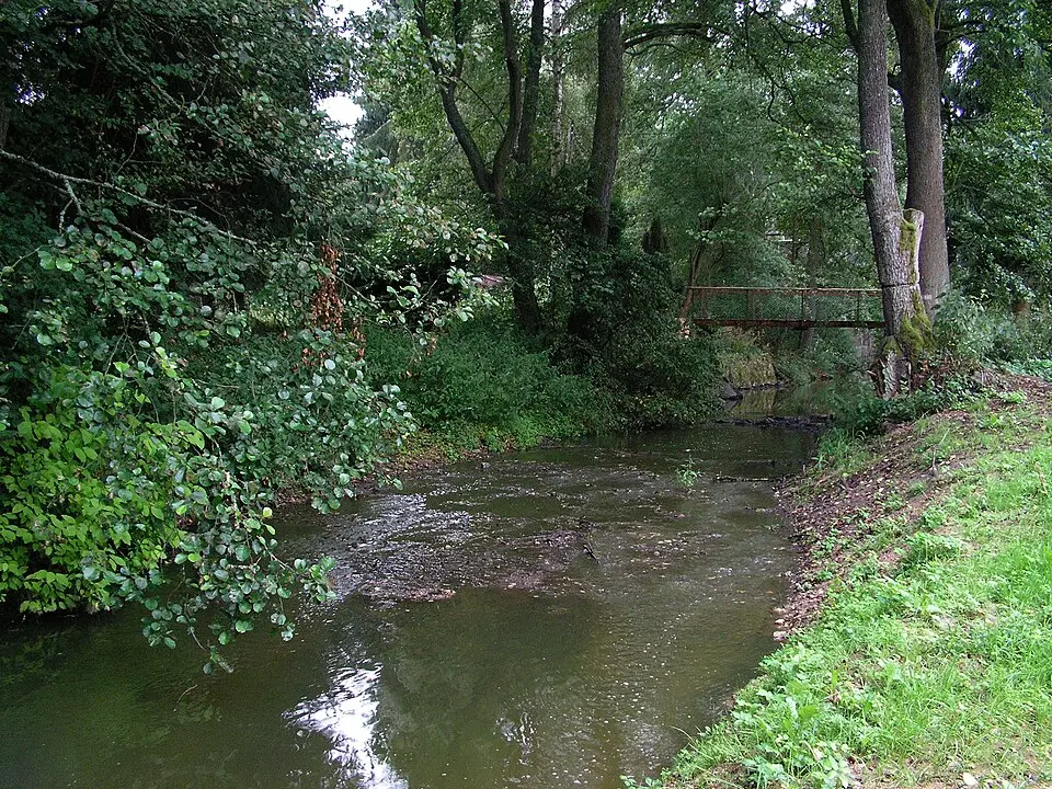 Chotýšanka