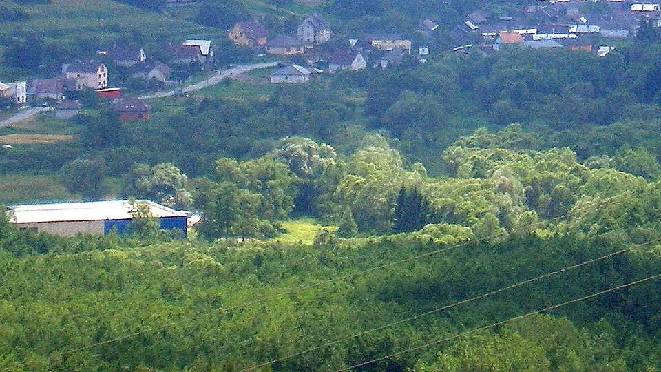 Salvátorské lúky