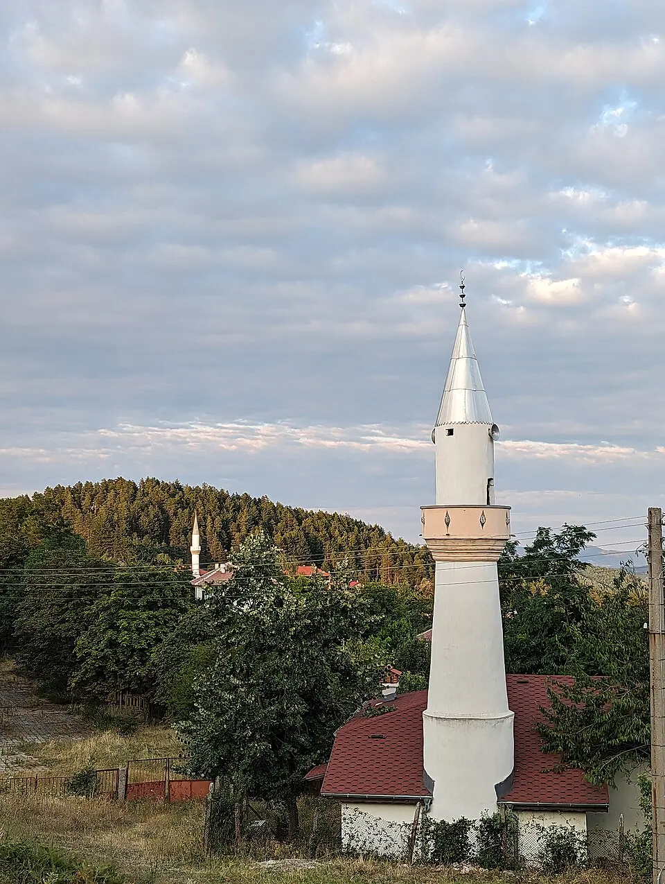 Чубрика