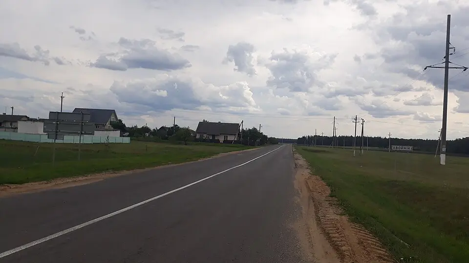 Хвойнікі