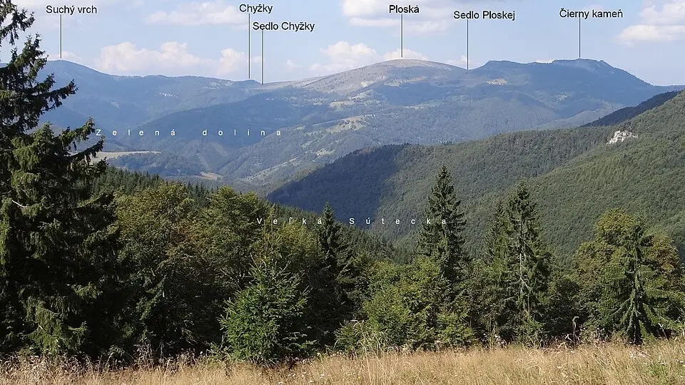 Chyžky