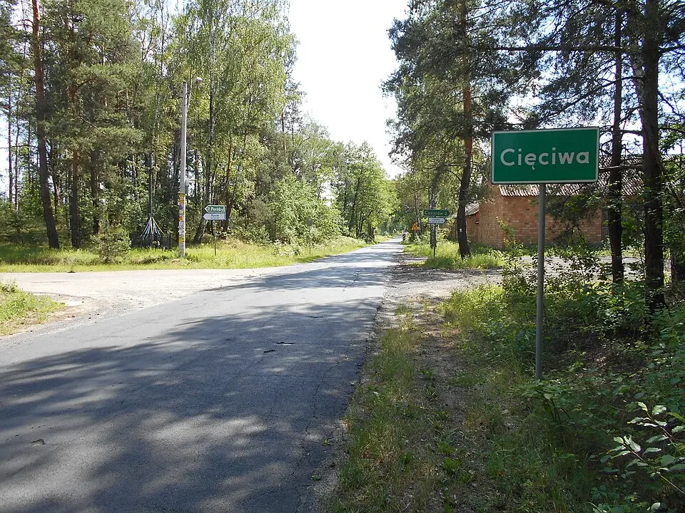 Cięciwa