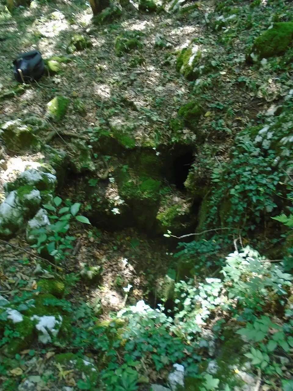 Cickány-zsomboly