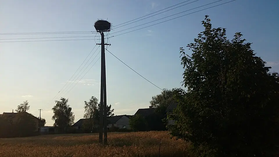 Sadłowo