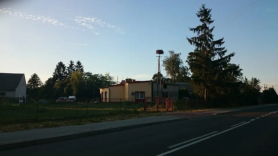 Zielona