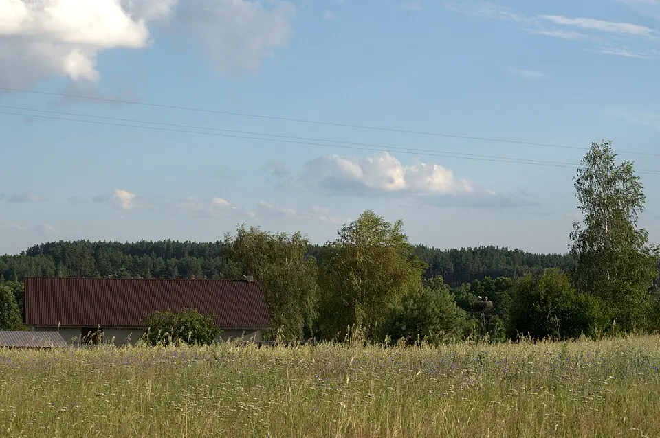 Trzebielsk
