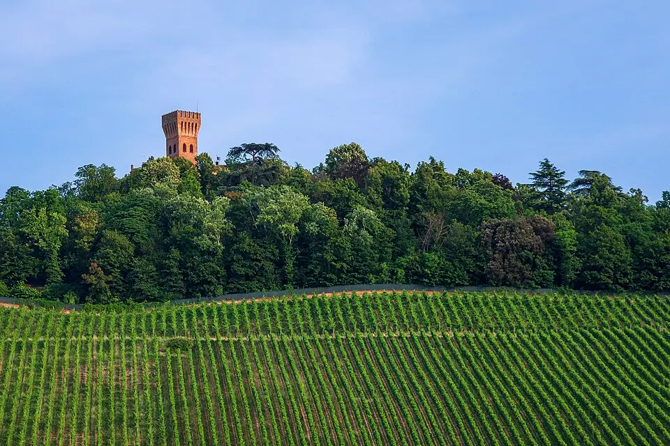 Castello di Cigognola
