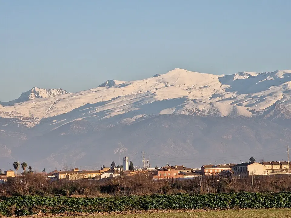 Cijuela
