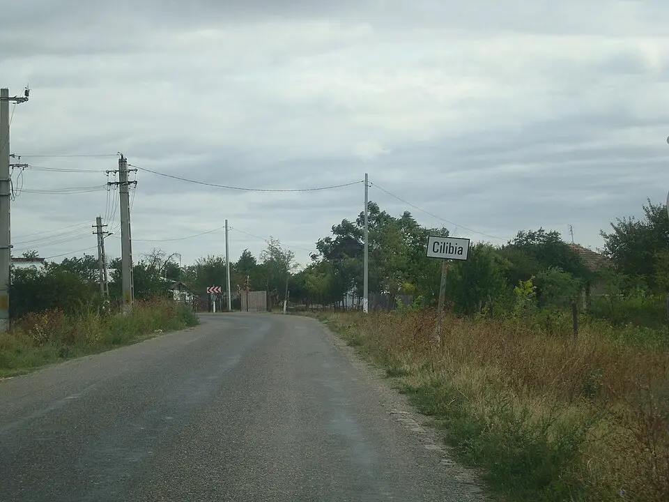 Kép: Eugen_Simion_14 (talk) (Uploads) · Public domain Cilibia
