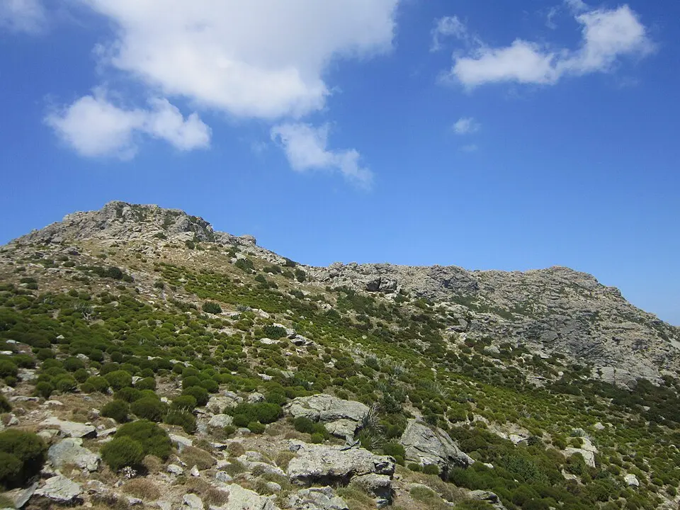 Cima di e Follicie