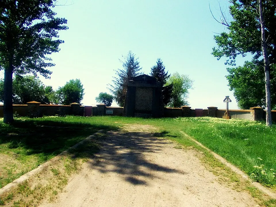 Țifești