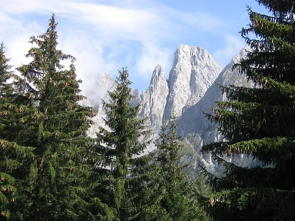 Cimone della Bagozza