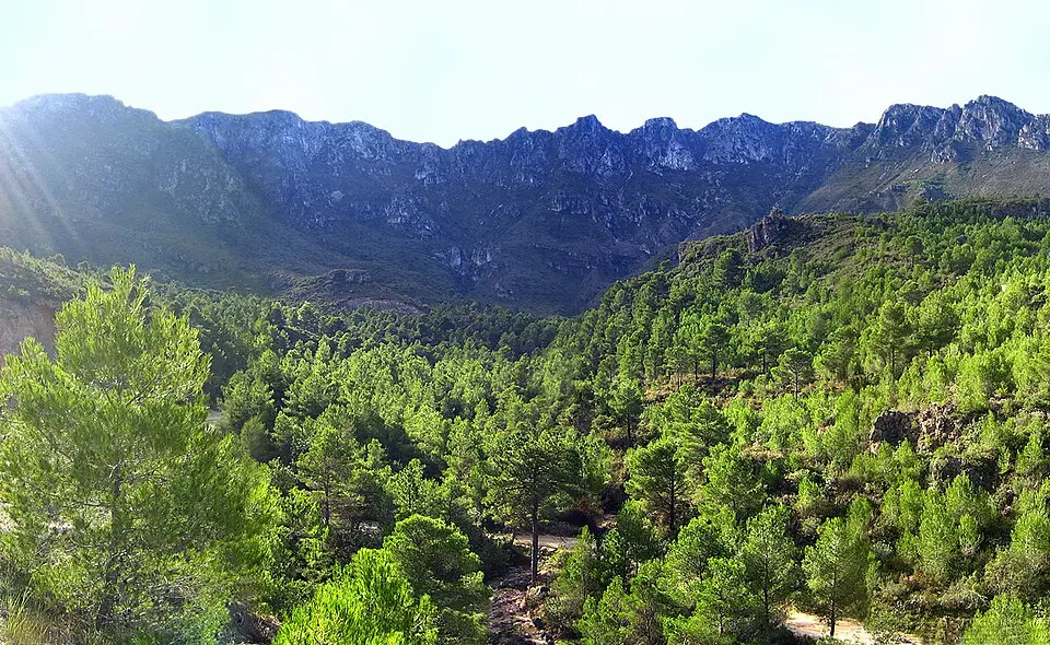 Monte Safor