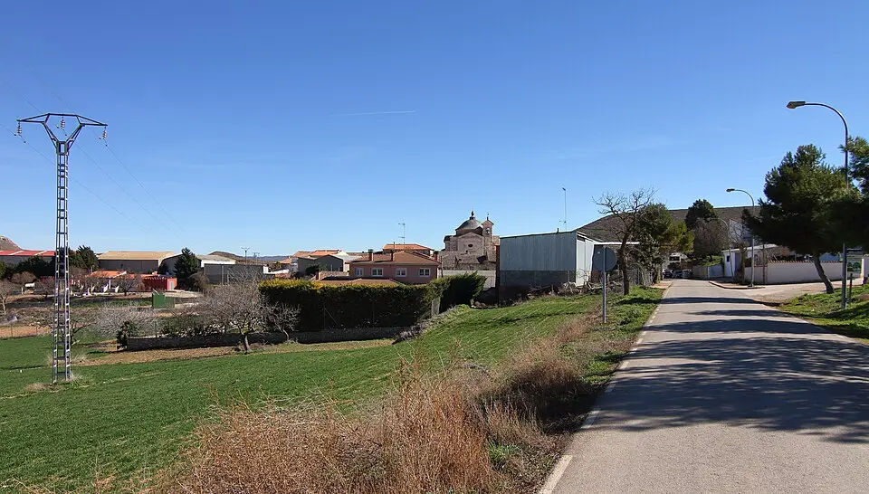 Ciruelas