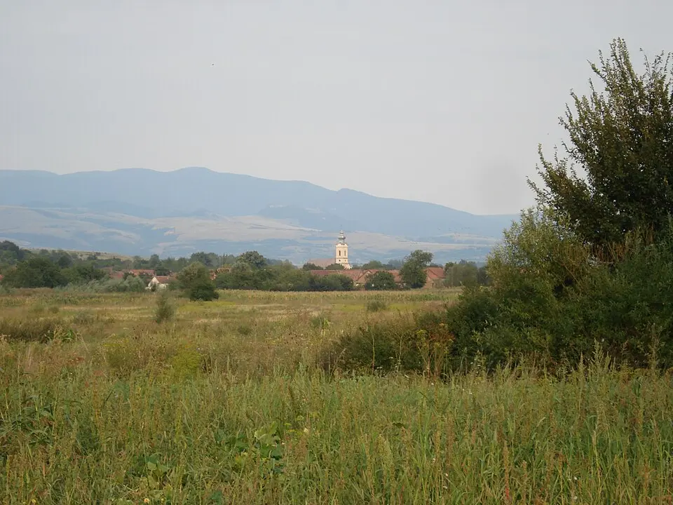 Ciuchici