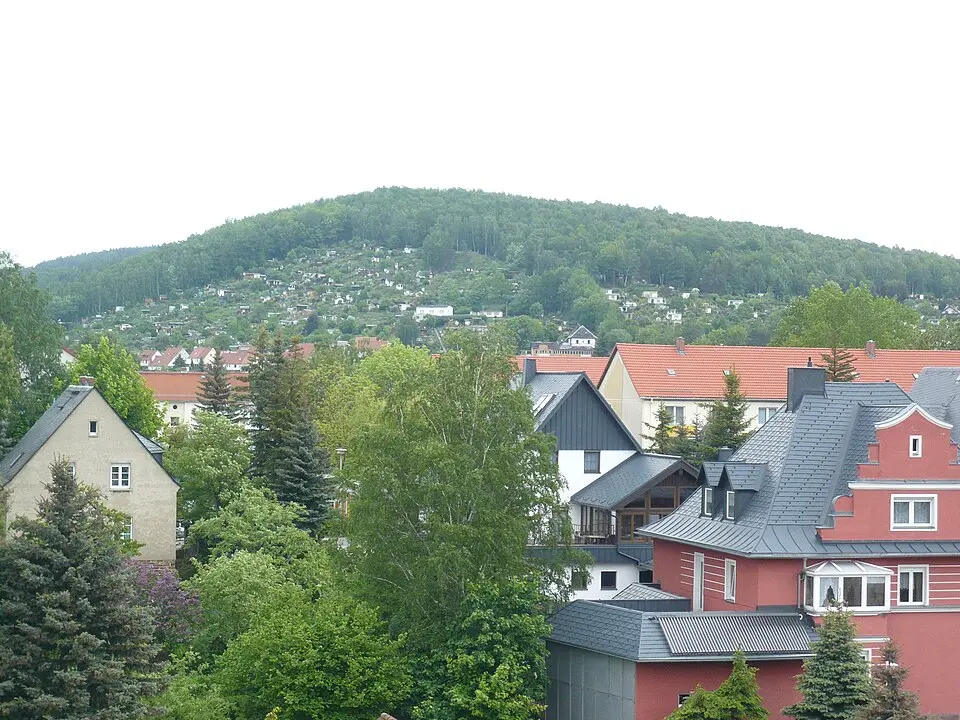 Hirschknochen