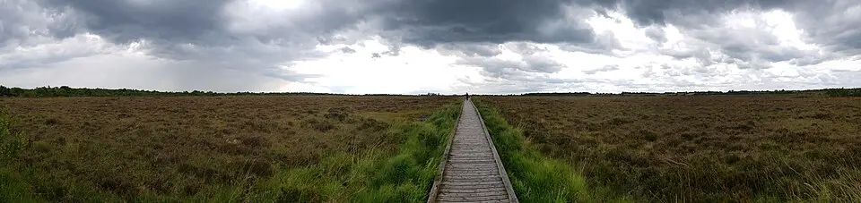 Obrázok: Niall Kearney · CC BY-SA 4.0 Clara Bog
