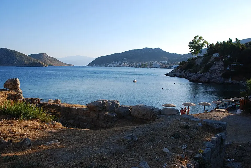 Δημοτική Ενότητα Ασίνης