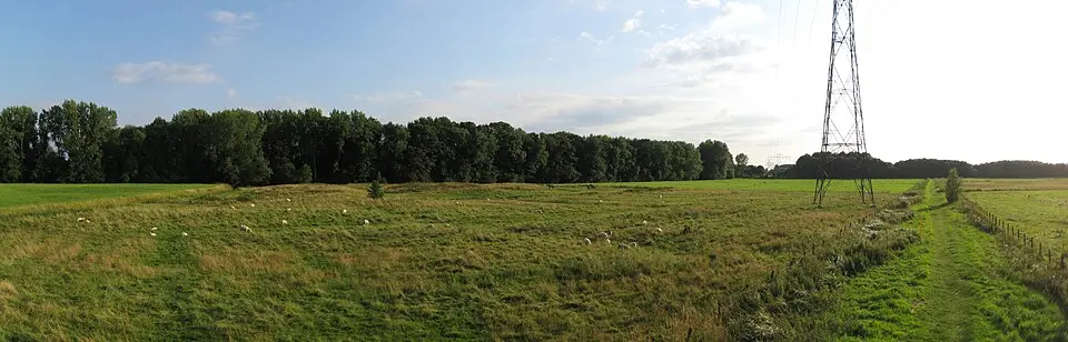 Kasteel Selwerd