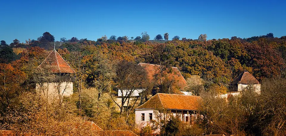Obrázek: Neighbor's goat · CC BY-SA 3.0 RO Ticușu