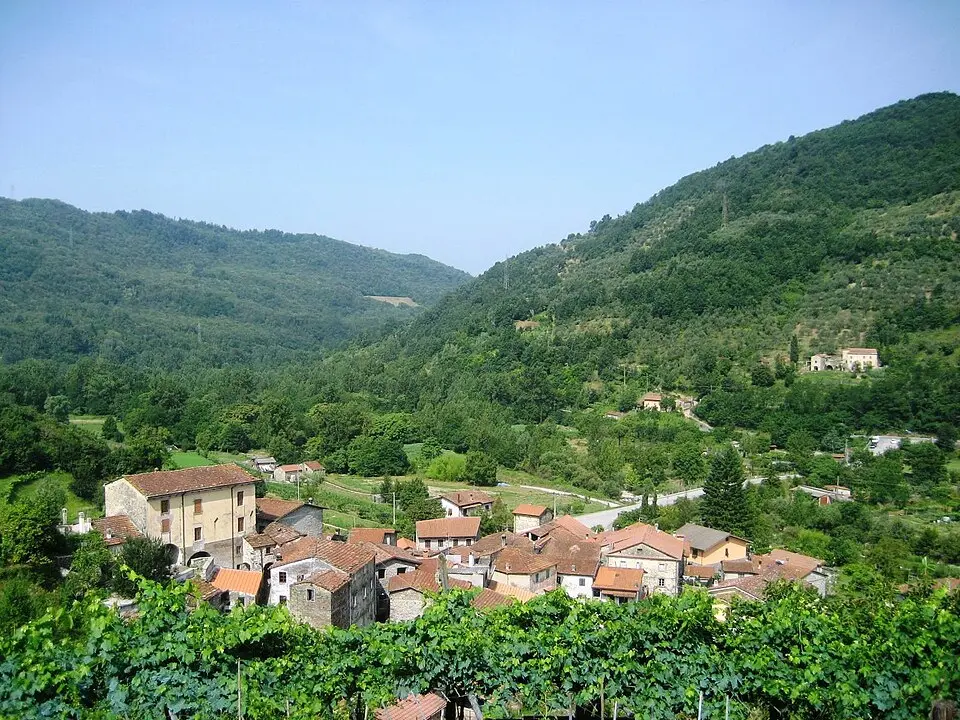 Codiponte