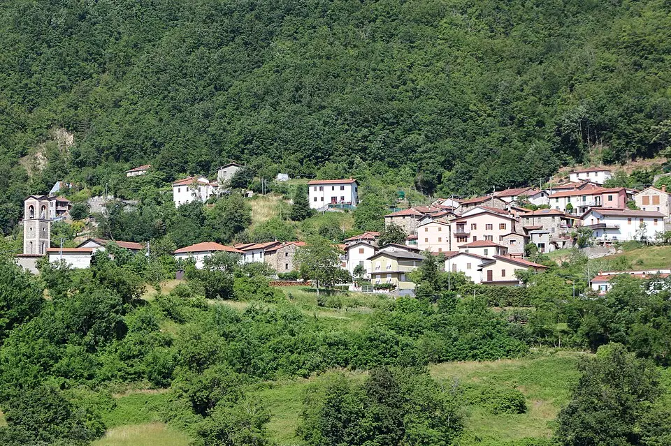 Cogna