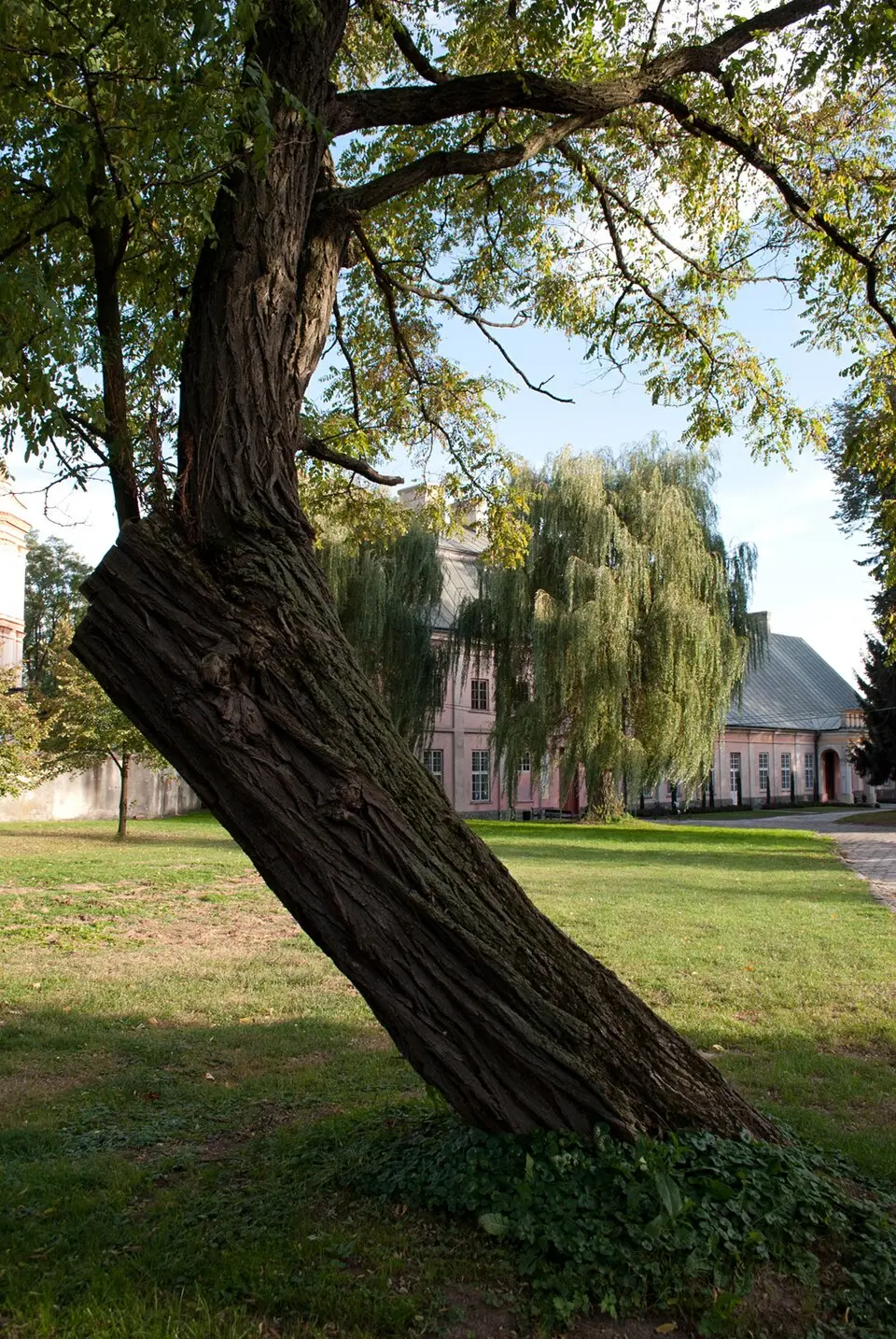 Zespół pałacowy