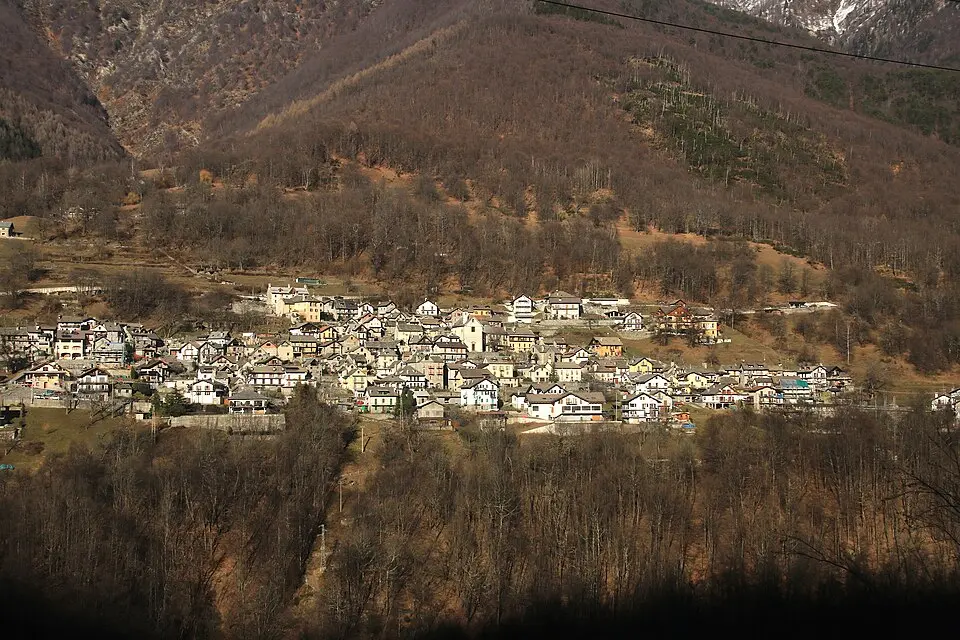 Coimo