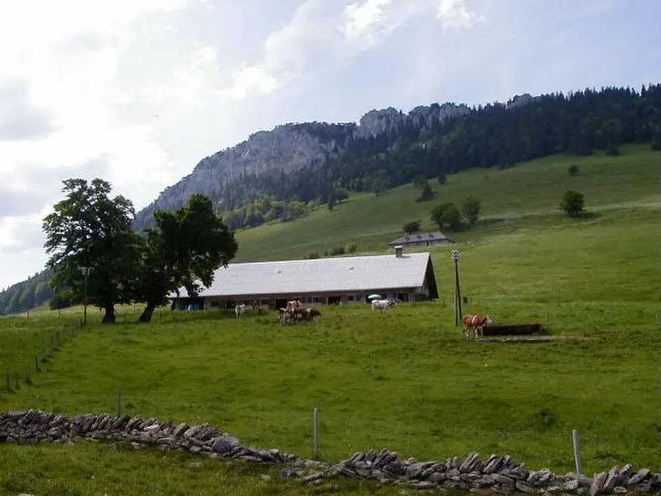 Aiguilles de Baulmes