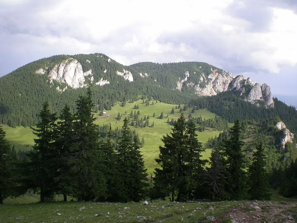 Hășmașul Mare